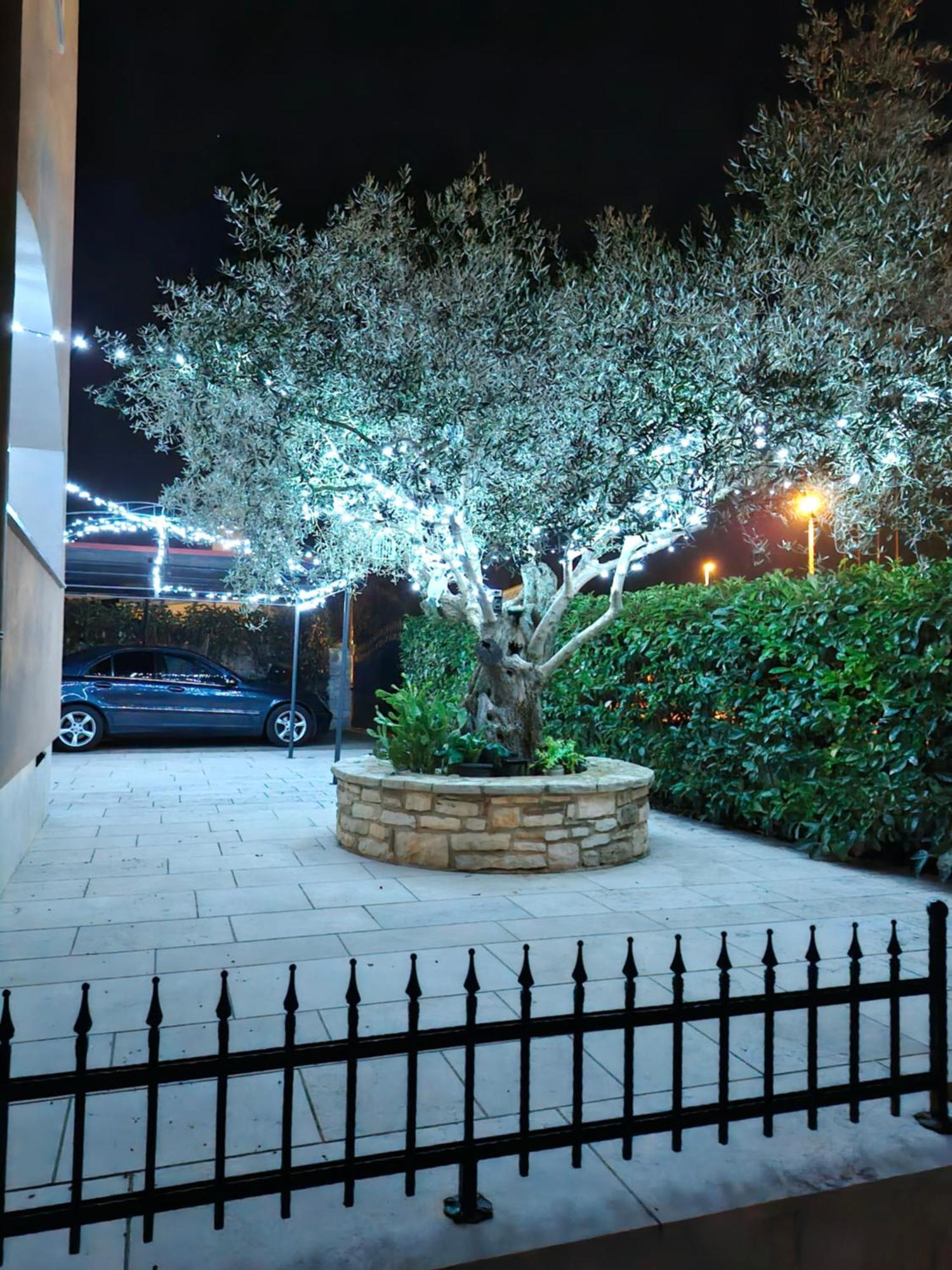Apartment And Room Marlen Rovinjsko Selo Dış mekan fotoğraf